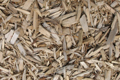 biomass boilers Nancledra